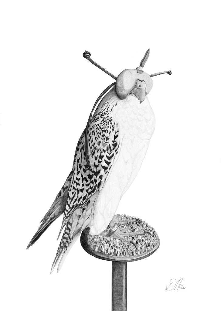 Falcon Drawing hooded, by Debbie New, art for interiors